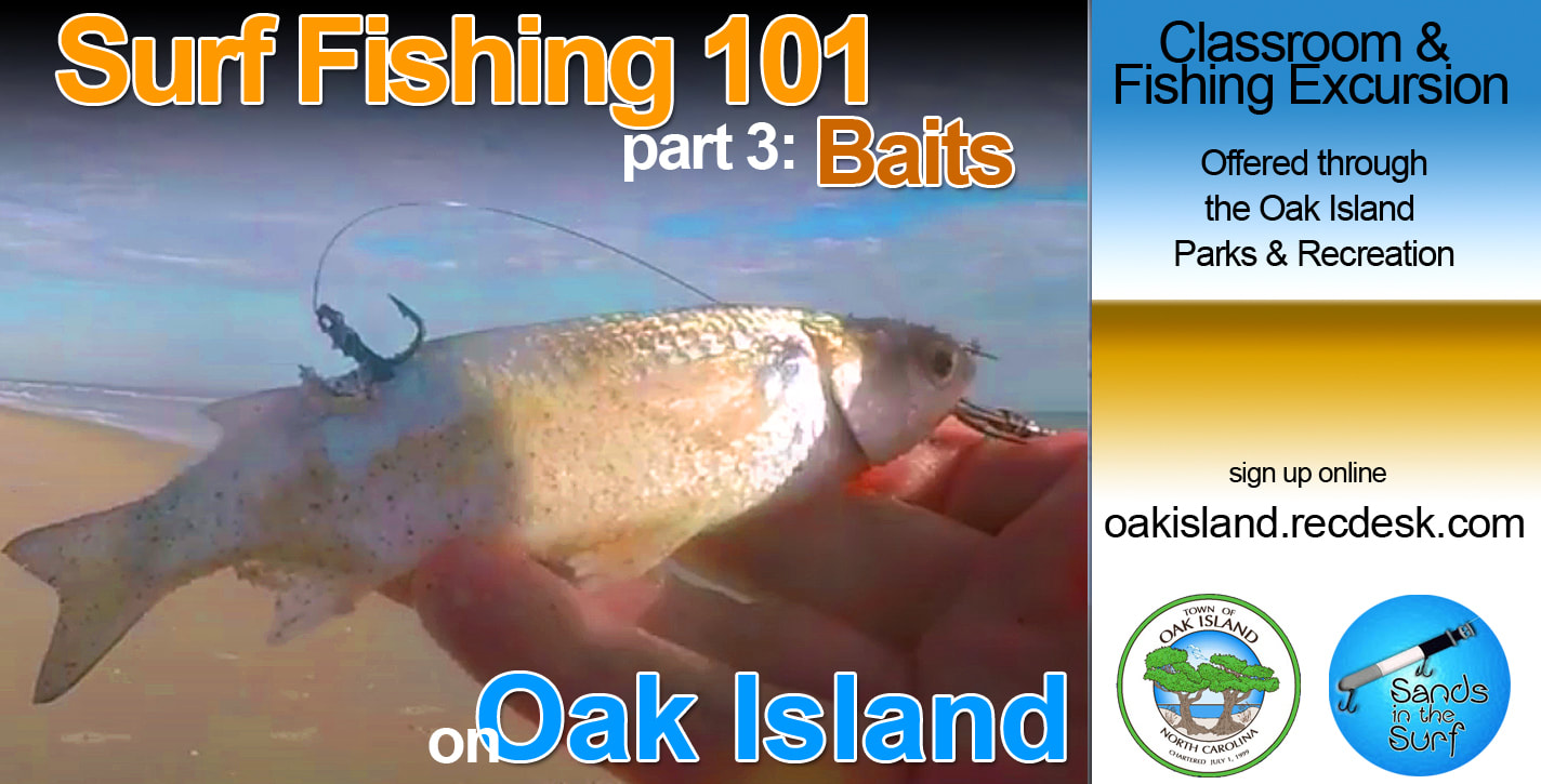 Surf Fishing 101: Part Three: Baits - Sands in the Surf : Oak