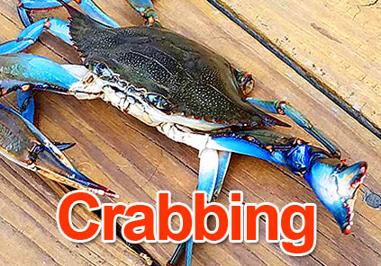 Crabbing Oak Island