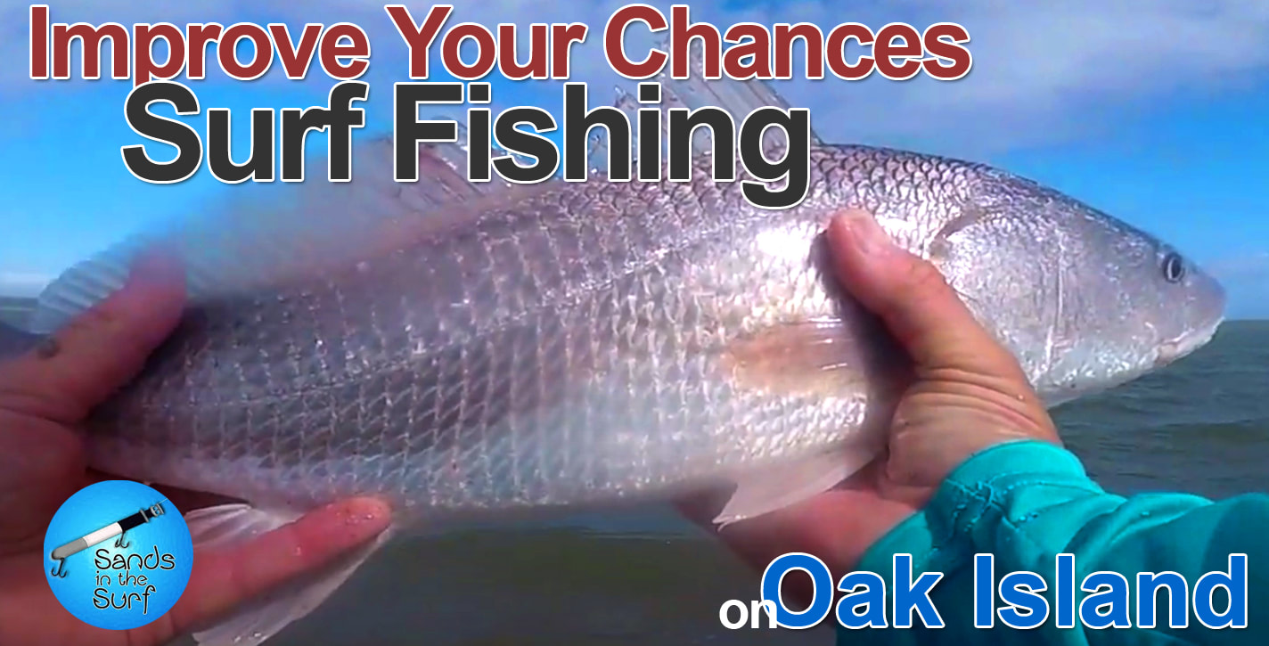 Improve your Chances Surf fishing on Oak Island